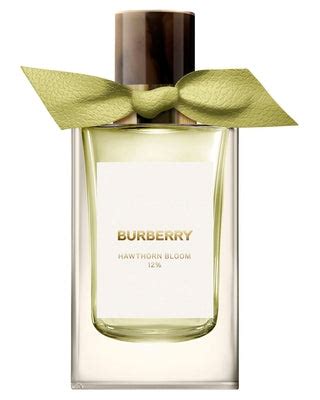 burberry sample sale|burberry decants samples.